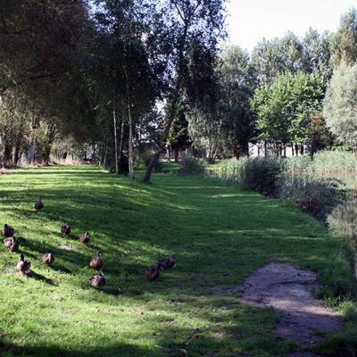 Pique Nique Etang Camping Residentiel La Garenne